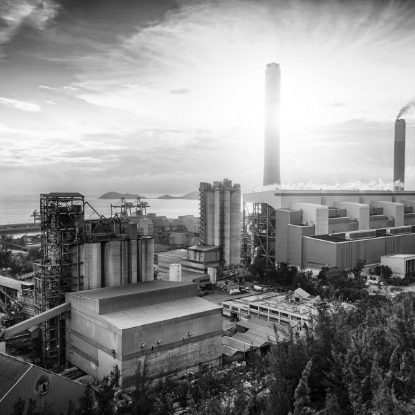 Die Sozialwissenschaft liefert Erklärungen zur kognitiven Verzerrung